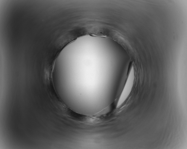 X0000088420333200706121437