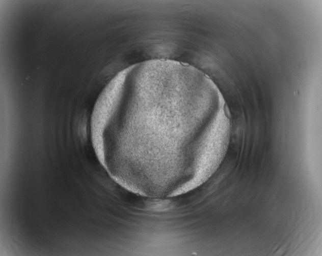 X0000088420334200706121437