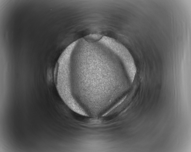 X0000088420335200706121437