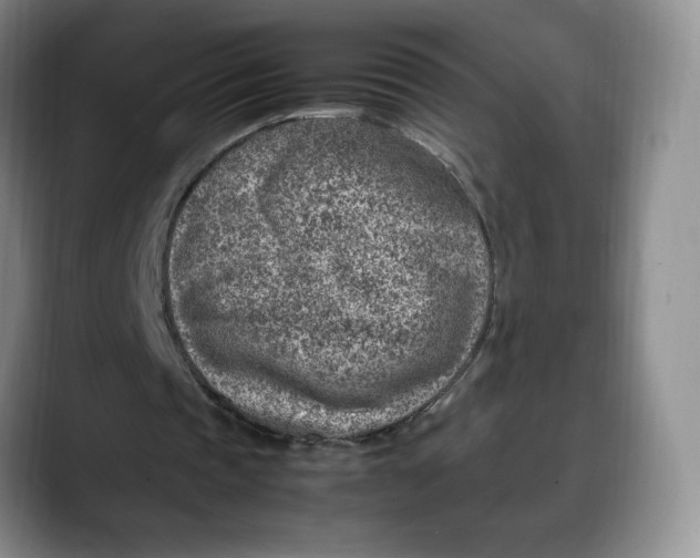 X0000088420337200706121436