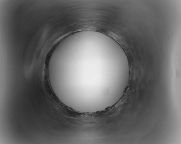 X0000088420338200706121436