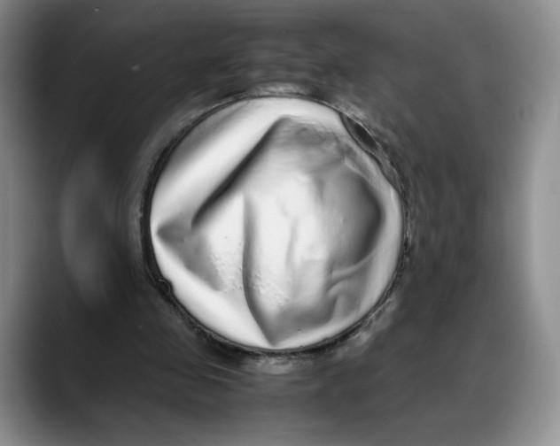X0000088420341200706121436