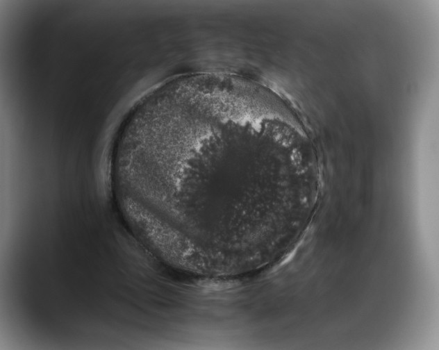 X0000088420343200706121436