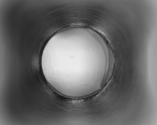 X0000088420345200706121436