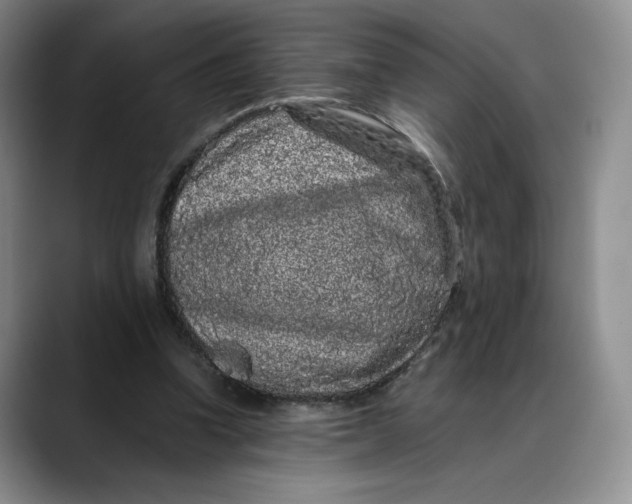 X0000088420346200706121436