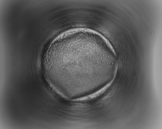 X0000088420347200706121437