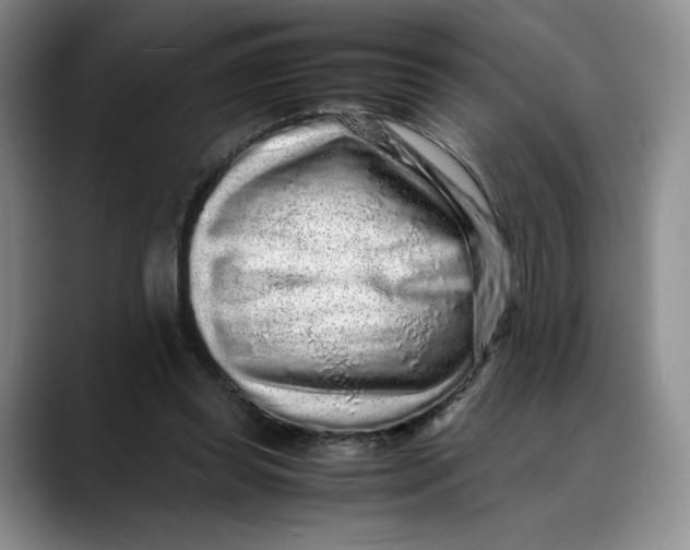 X0000088420349200706121437