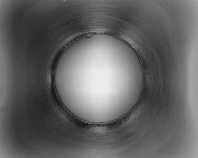 X0000088420350200706121437