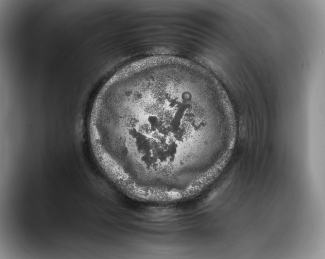 X0000088420351200706121437