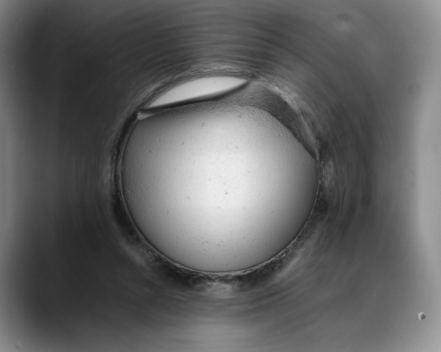 X0000088420352200706121437