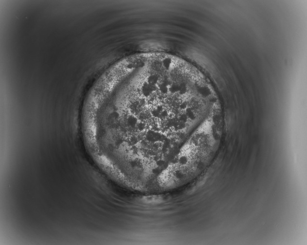 X0000088420353200706121437