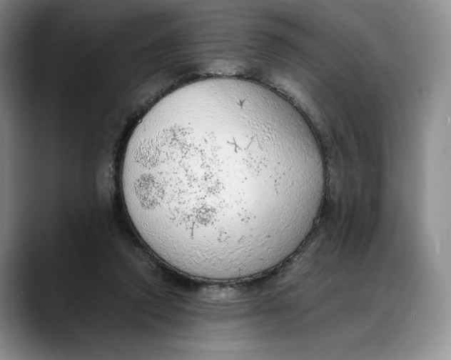 X0000088420354200706121437