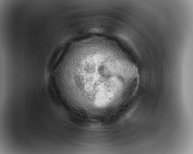 X0000088420355200706121437
