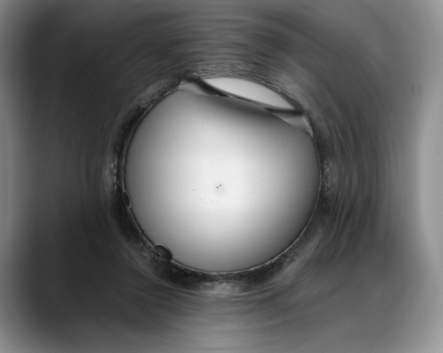 X0000088420356200706121437