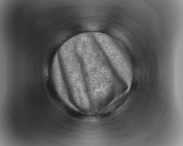 X0000088420358200706121437