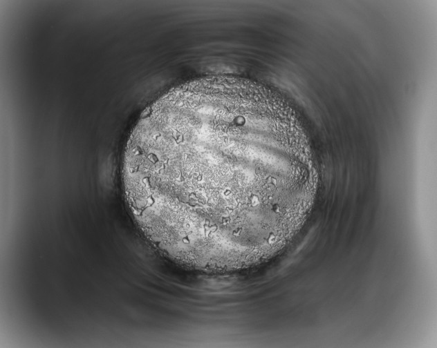 X0000088420359200706121437