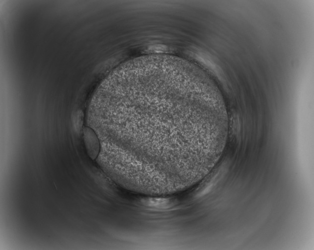 X0000088420361200706121437