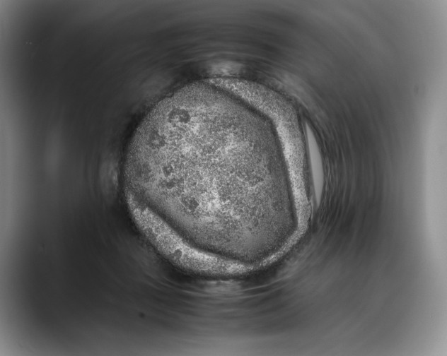 X0000088420363200706121437