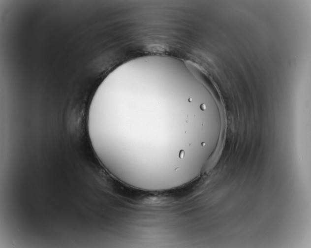 X0000088420364200706121437