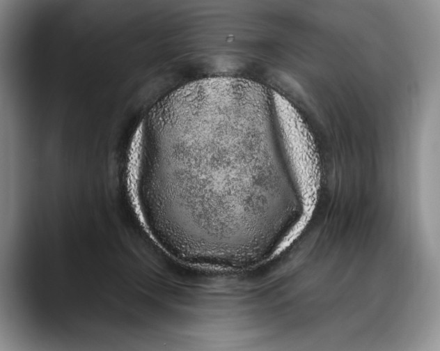 X0000088420366200706121437