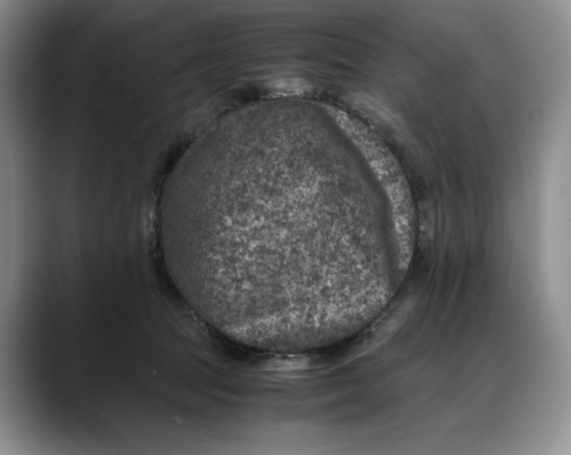 X0000088420369200706121437