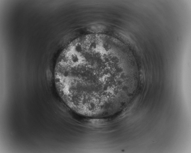 X0000088420371200706121437