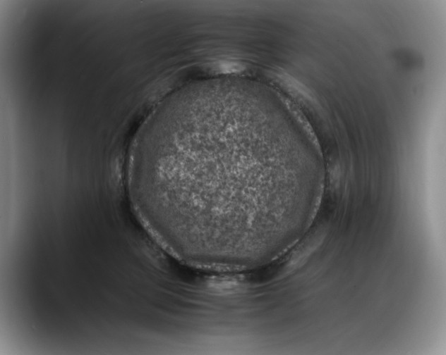 X0000088420373200706121437