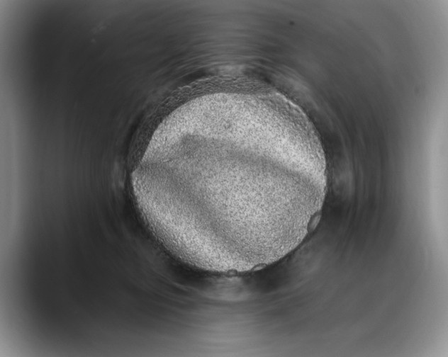 X0000088420374200706121437