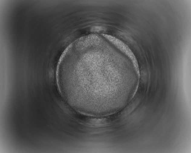 X0000088420375200706121437