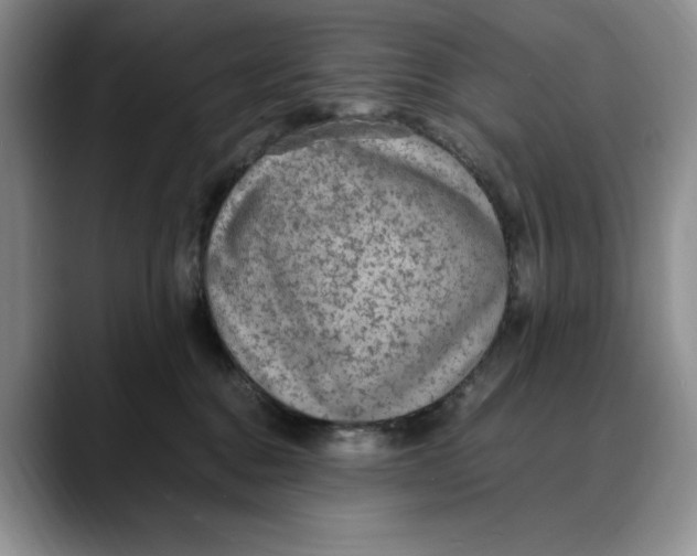 X0000088420376200706121437