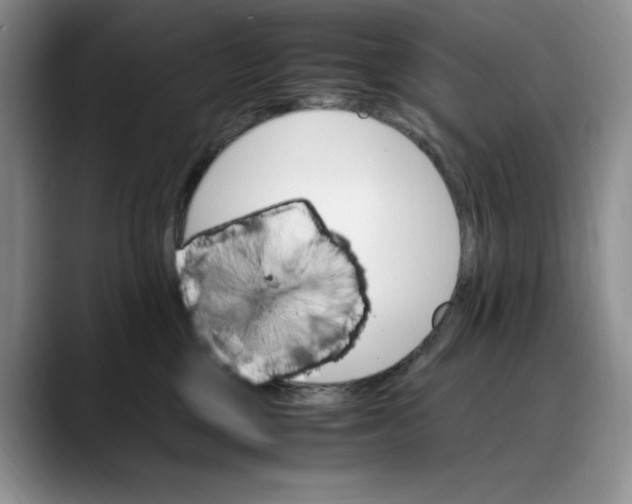X0000088420377200706121437