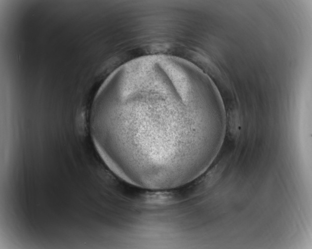 X0000088420378200706121437