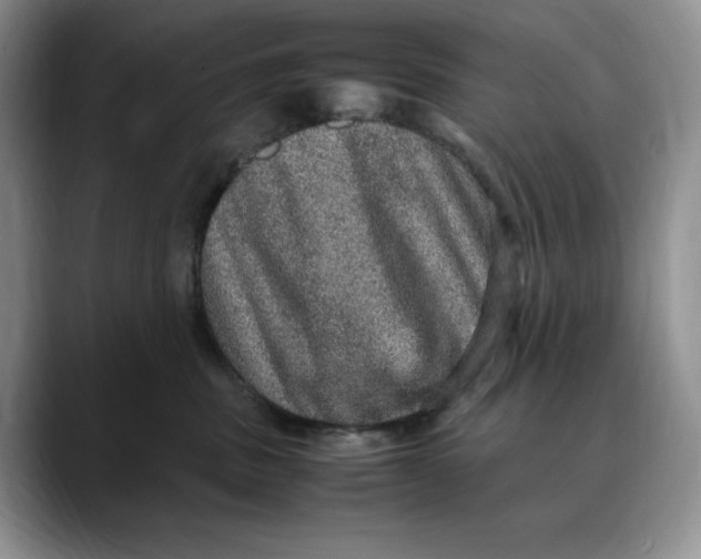X0000088420379200706121437
