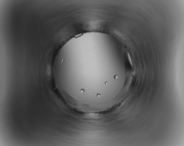 X0000088420380200706121437