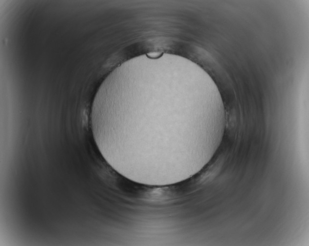 X0000088420382200706121437