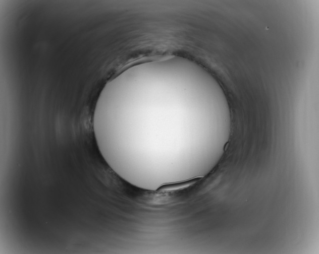 X0000088420384200706121437
