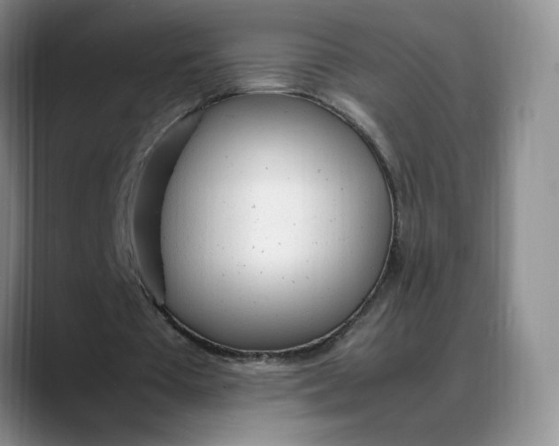X0000088420385200706121436