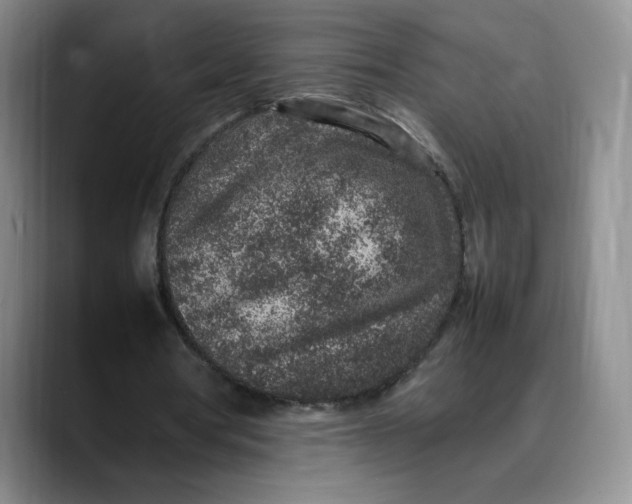 X0000088420386200706121436