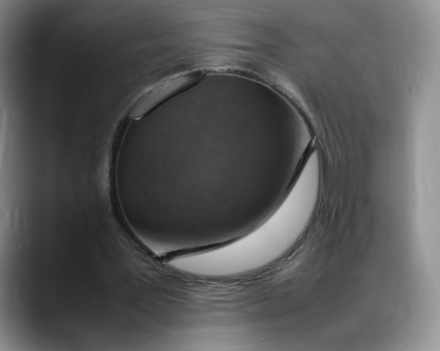 X0000088420387200706121436