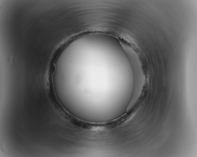 X0000088420388200706121436