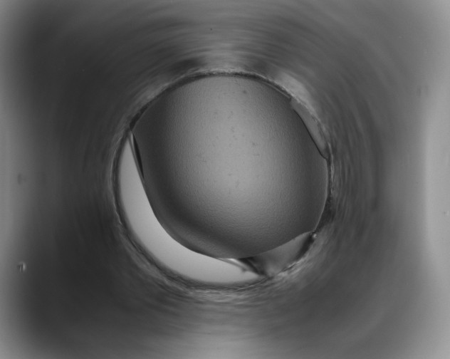 X0000088420389200706121436