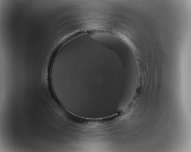 X0000088420391200706121436
