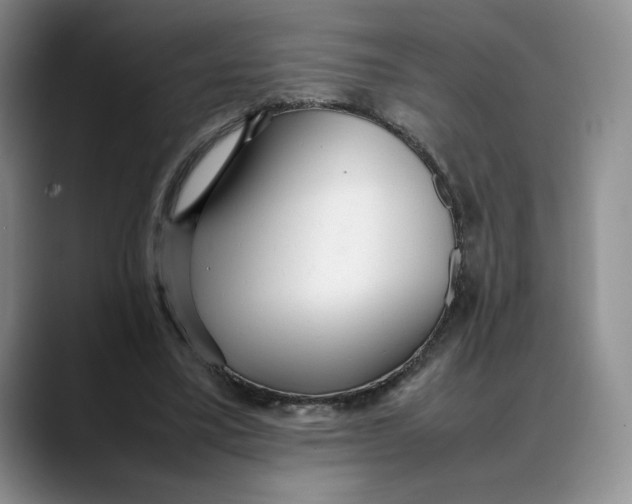 X0000088420395200706121436