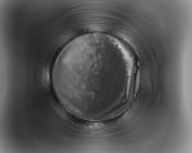 X0000088420398200706121436