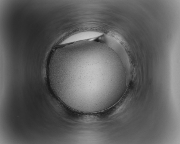 X0000088420399200706121436