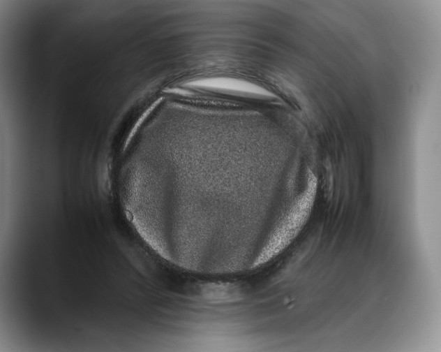 X0000088420400200706121436