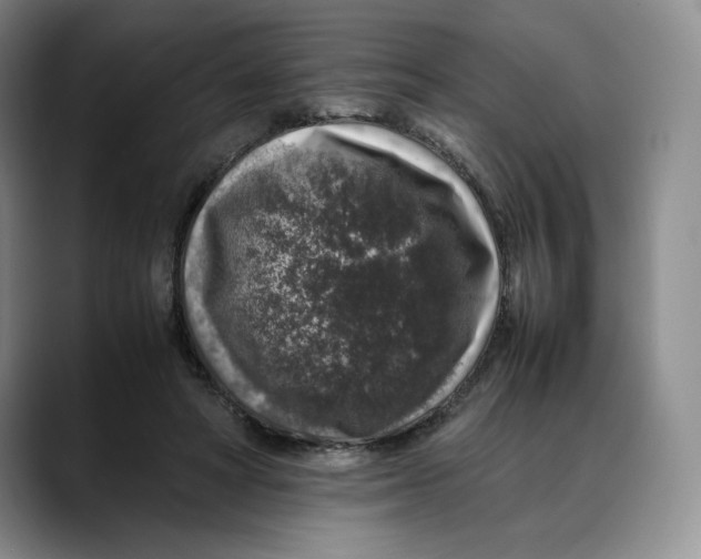 X0000088420402200706121436