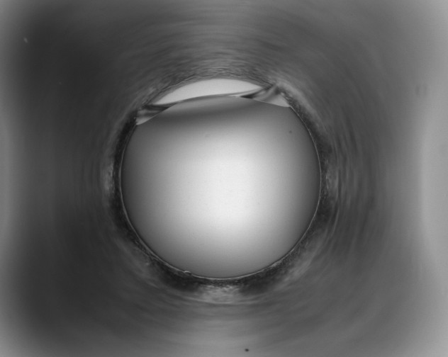 X0000088420403200706121436