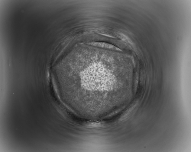 X0000088420405200706121436