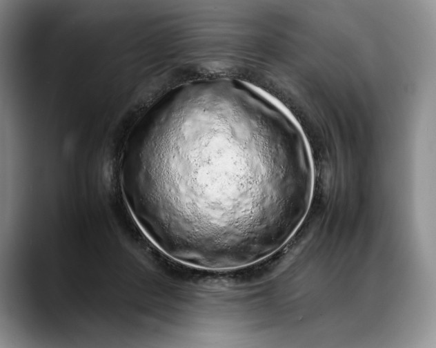 X0000088420408200706121436